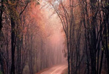 天问二号探测器运抵发射场 上半年实施发射.