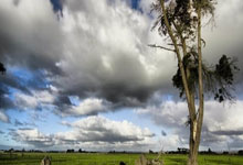 中东部多地气温先升后降起伏明显 明起降水发展增多.