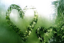 V体育：[NBA]亚历山大收获51分 雷霆迎来第50胜.