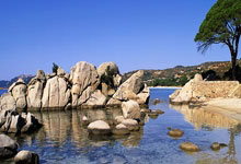 V体育：八冠王DNA从未冷却！冯潇霆难过广州队解散，召集荣昊董学升遥望天体踢比赛.